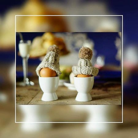 Appartamento Slapen Op 77 Nieuwe-Niedorp Esterno foto